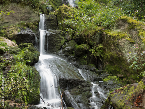 Fototapeta Naklejka Na Ścianę i Meble -  beautiful waterfall in the forest