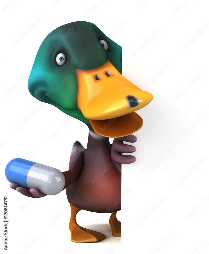 Duck