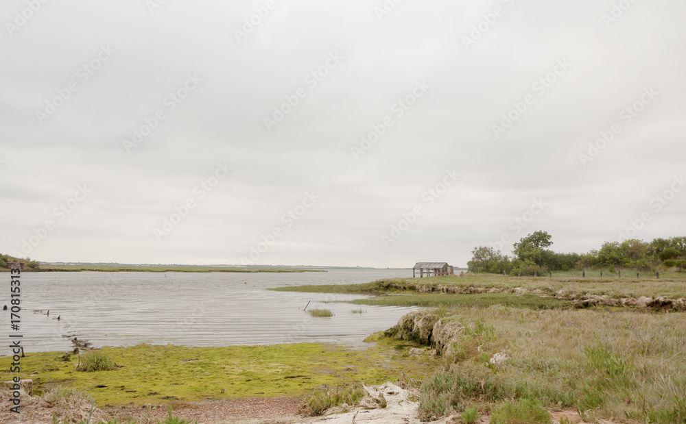 Coastal scene with overcast sky clear space and bay land rock and grass