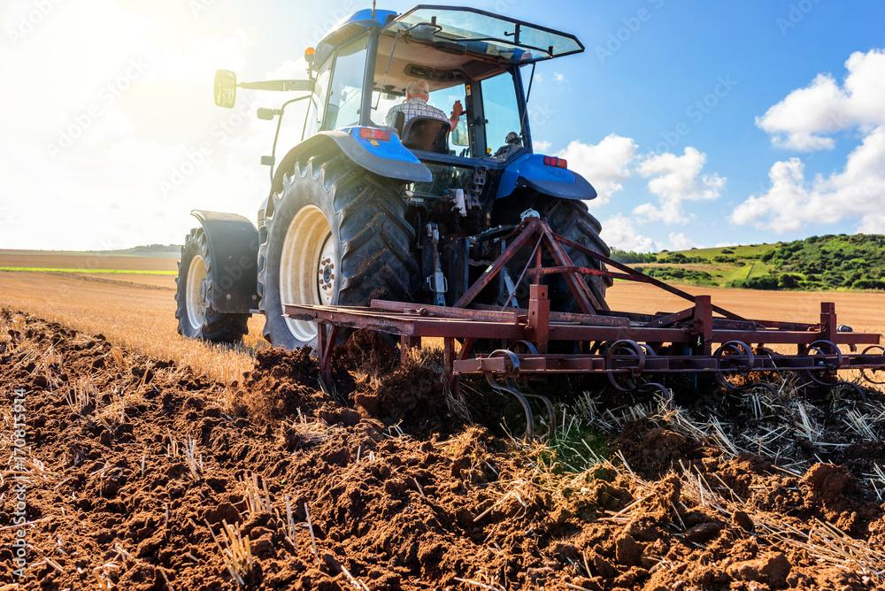 Fototapeta premium labours après la récolte