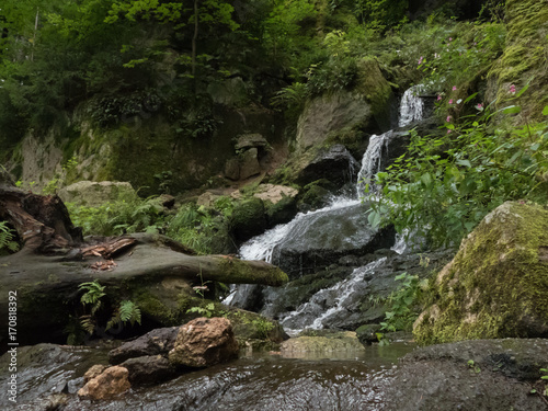 beautiful waterfall in the forest