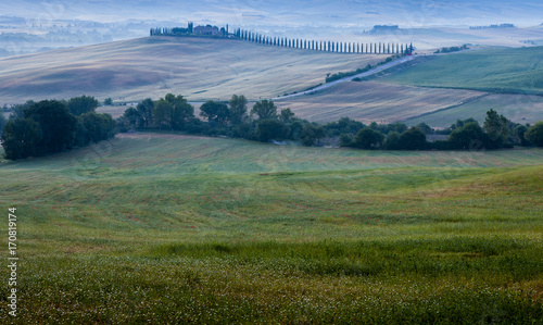Tuscany hills and meadow, summer in Italy