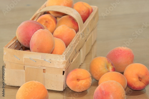 korb mit frischen marillen