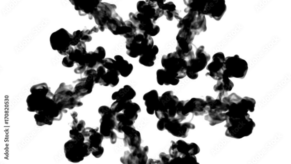 Overhead shot of black ink flows form star, ink inject or blow smoke on white in slow motion. Color cloud in water for Inky or smoky background or ink effects. Luma matte like alpha mask is on Overhead shot of black ink flows form star, ink inject or blow smoke on white in slow motion. Color cloud in water for Inky or smoky background or ink effects. Luma matte like alpha mask is on