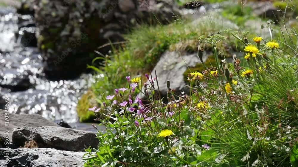 Small waterfall cascade in green pyrenees mountains, slow motion Small waterfall cascade in green pyrenees mountains, slow motion