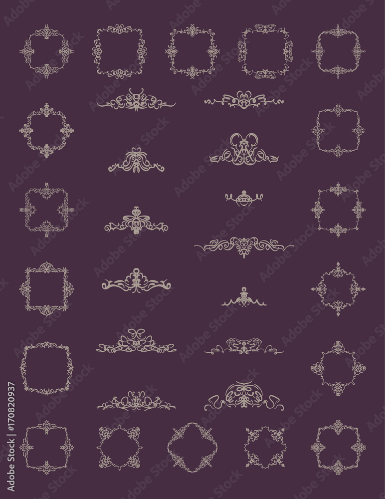 Fototapeta premium Retro rosette and victorian ornament for decoration text