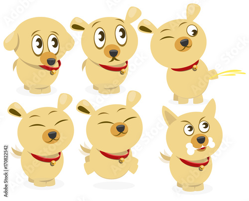 Funny little dog