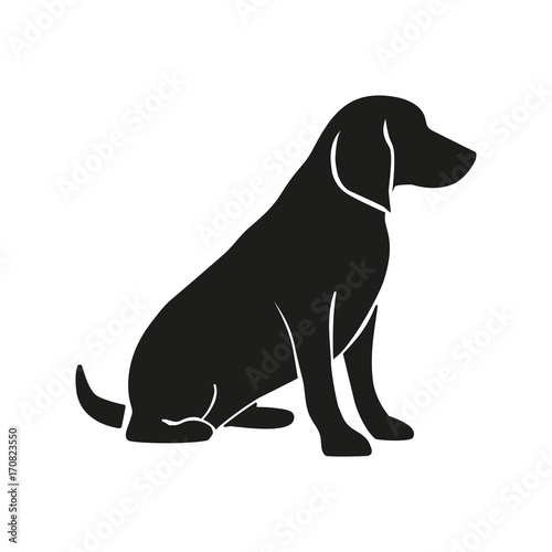 Labrador induction icon