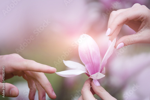 Tenderness couple, flower magnolia in spring garden, beautiful nature and relationship between man and woman, harmony and understanding. Male and female hand touch pink flower. Psychology of relations