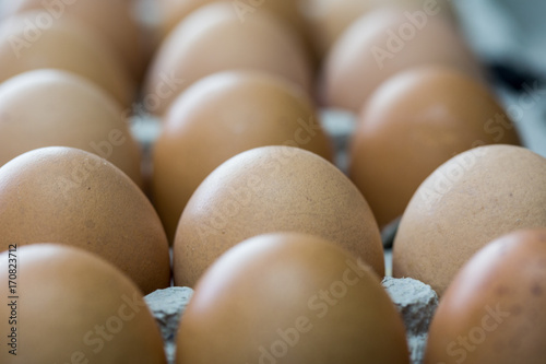 Brown eggsin cardboard container extreme macro crop photo