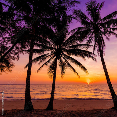 Palm trees silhouette at sunset. sunset and beach. Beautiful sunset above the sea © EwaStudio