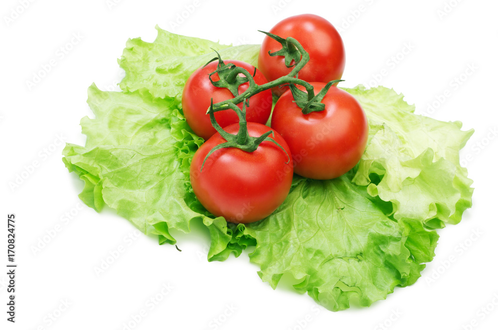 Fresh red tomatoes on lettuce leaves isolated on the white background Fresh red tomatoes on lettuce leaves isolated on the white background