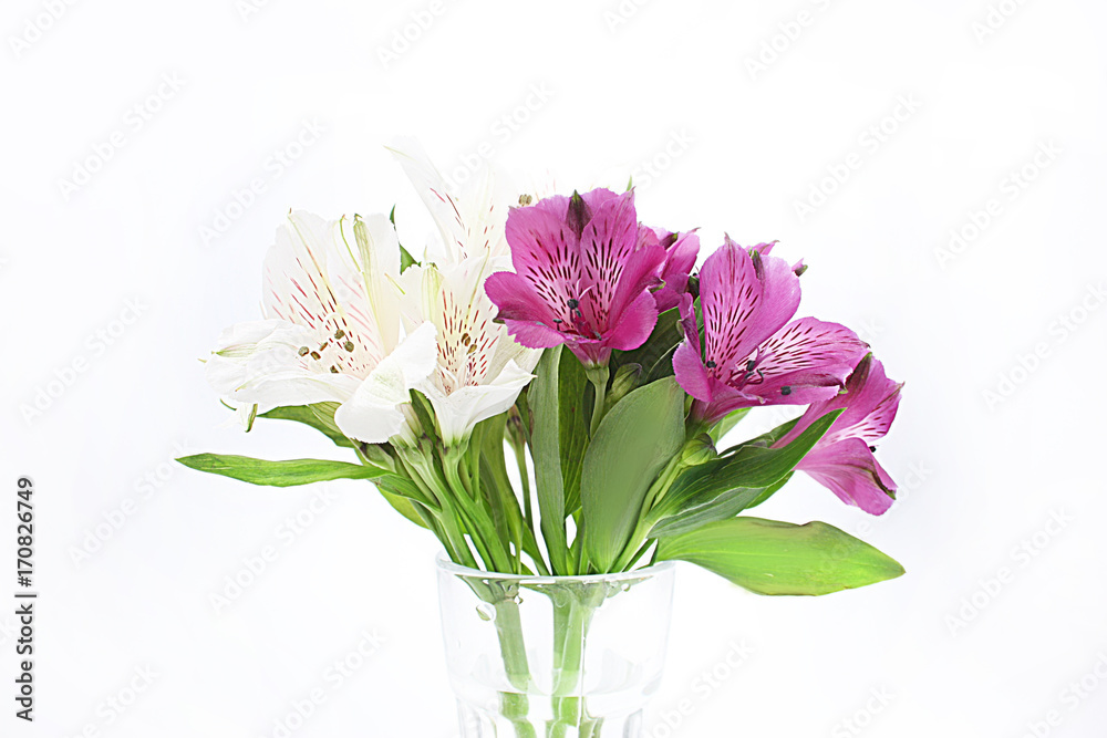 bouquet of alstroemeria