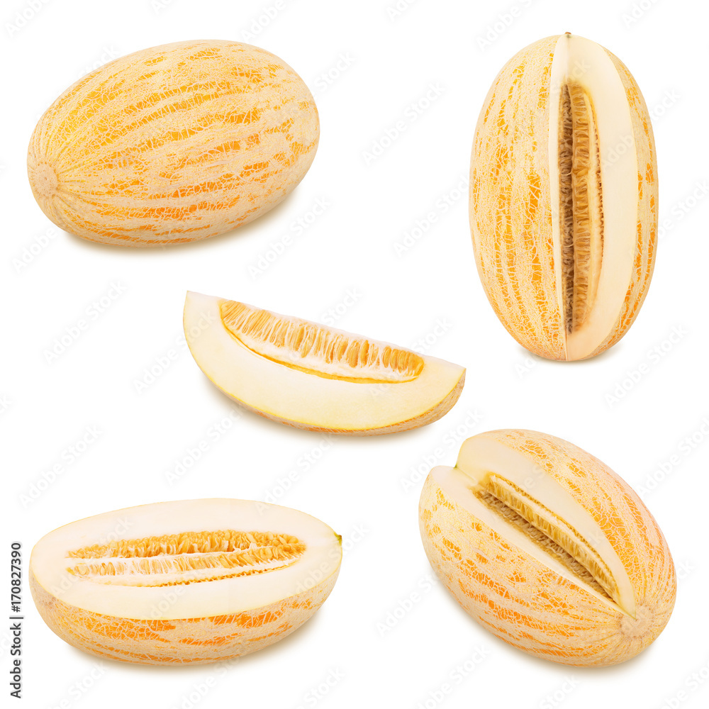 Ripe melon collection. As design elements. Ripe melon collection. As design elements.