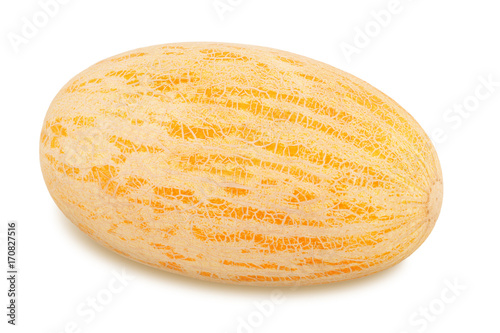Ripe melon on a white background