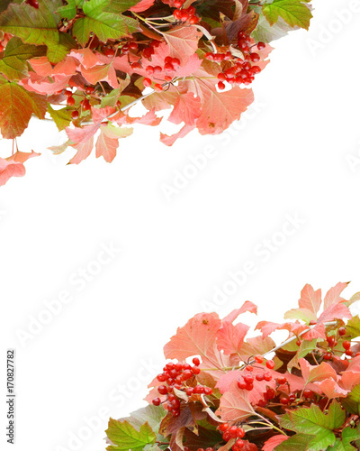 arrière-plan d'automne,branches et feuilles rouge © Patryssia