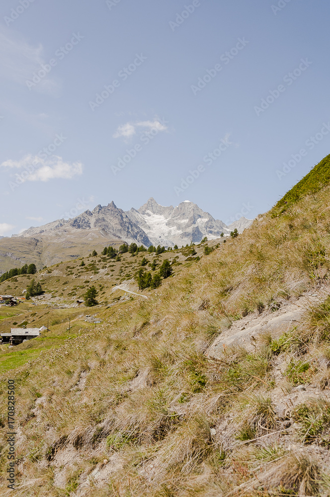 Zermatt, Wallis, Alpen, Wellenkuppe, Ober Gabelhorn, Dent Blanche, Findeln, Weiler, Alm, Bergbauer, Sunnegga, Wanderweg, Sommer, Schweiz