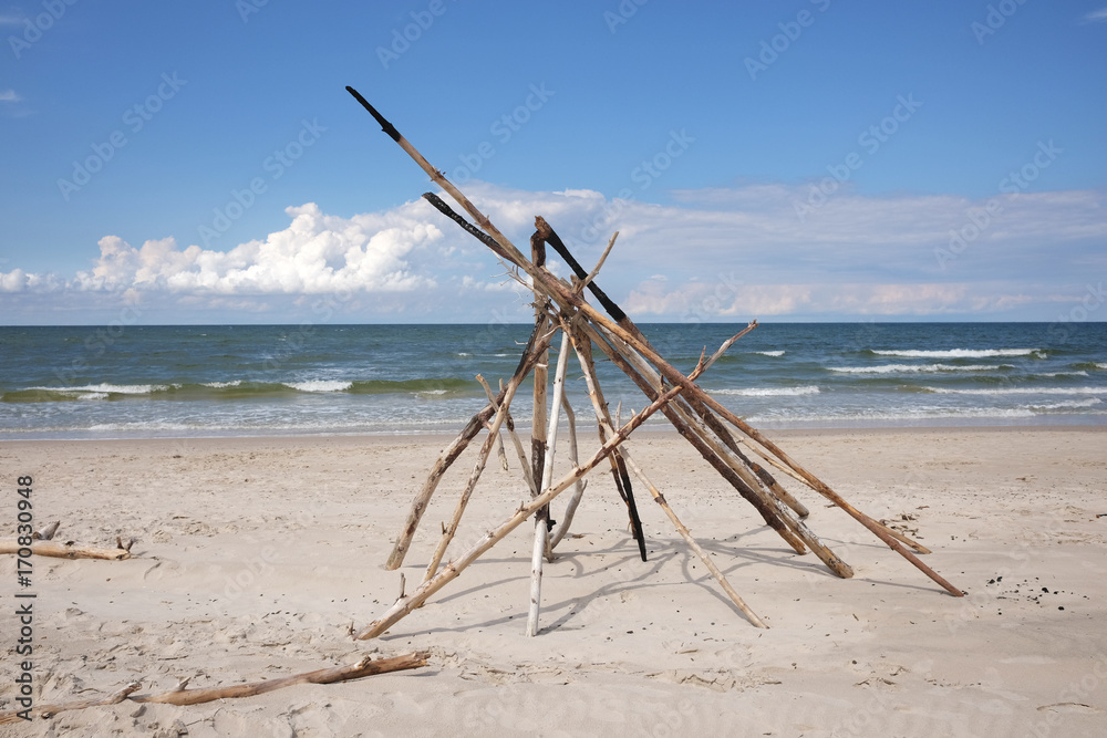 wooden sticks on beach