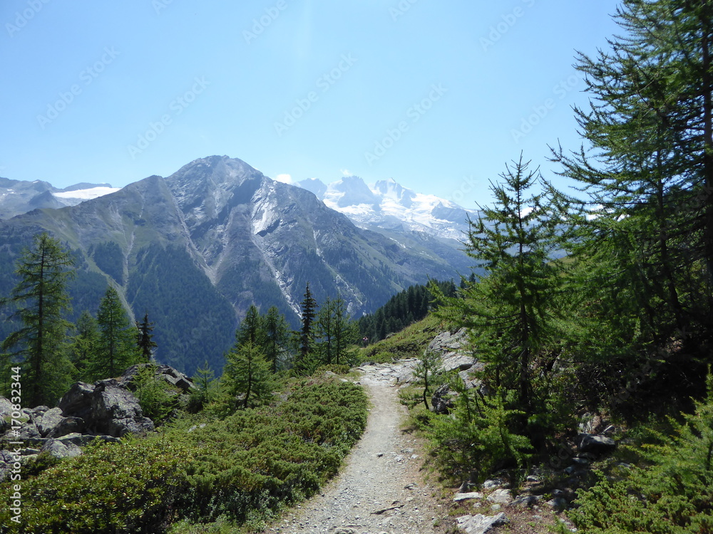 Grand Paradis vu d'Orvieille, Valsavarenche