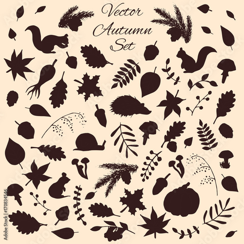 Hand drawn set of vector autumn elements and animals. Includes foliage  rowan berries  acorns  mushrooms  oak and maple leaves  squirrels  pine cones and branches  a mouse and a hedgehog silhouettes.