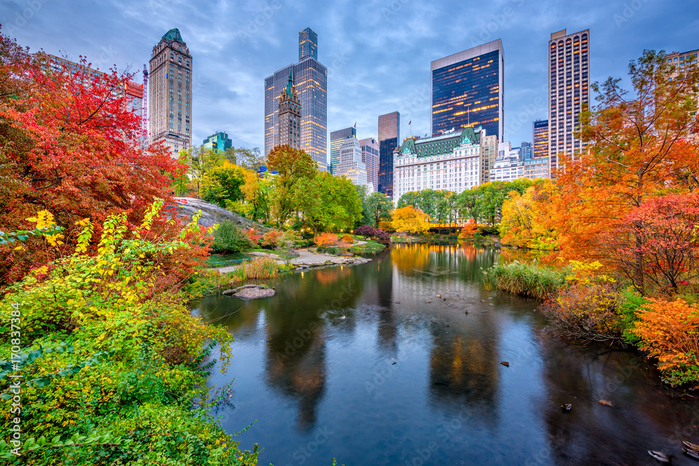 Naklejka premium Central Park Autumn w Nowym Jorku