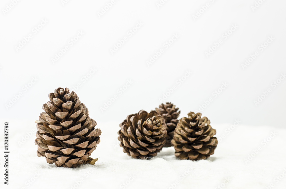 pine cones and bear in chrismas pine cones and bear in chrismas