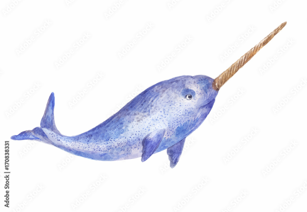 Foto narwhal watercolor vector  illustration