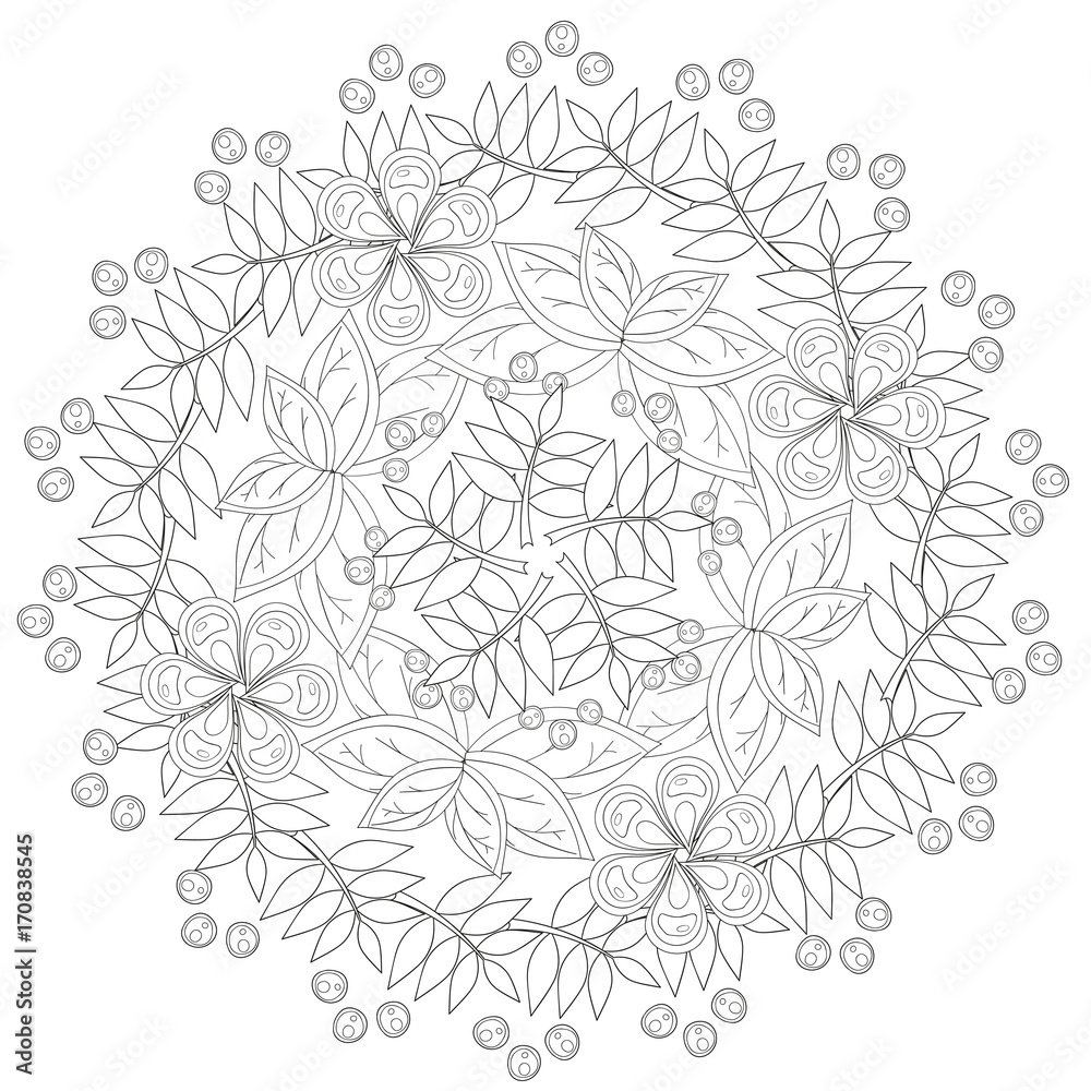 Fototapeta premium Coloring book page for adults and kids in doodle style.