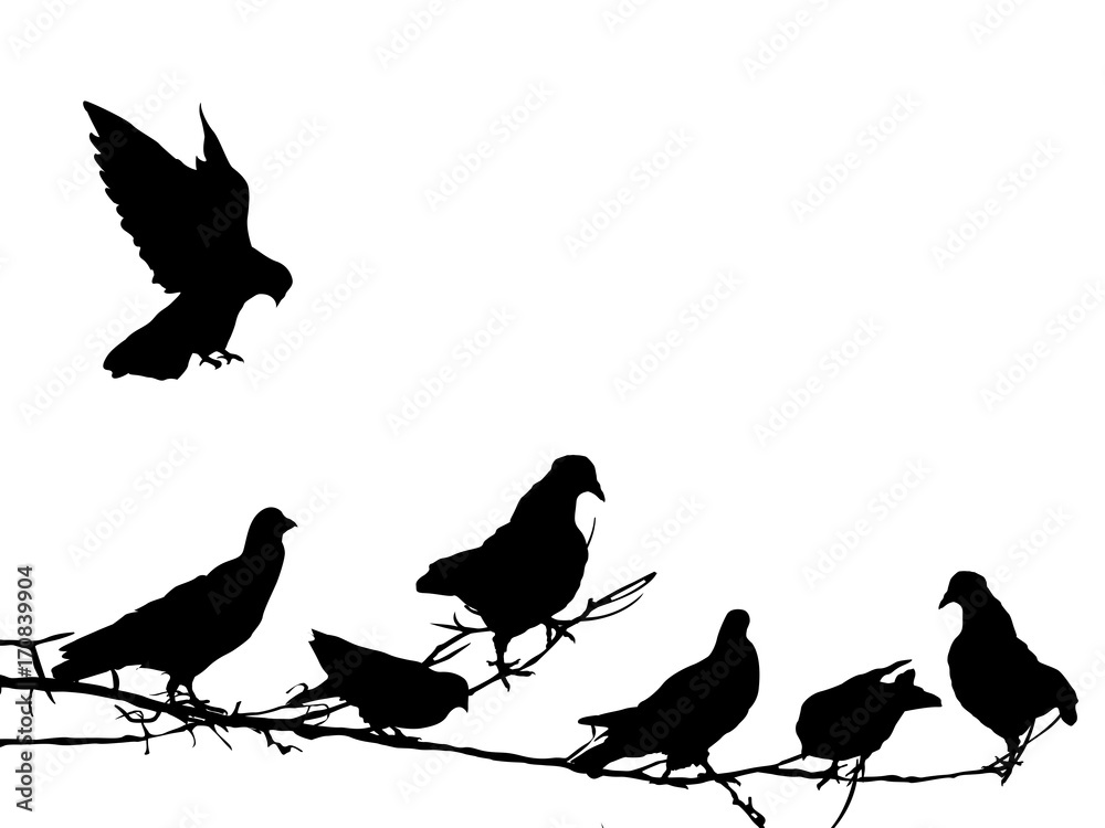 Naklejka Pigeons silhouettes