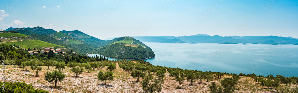 Obraz premium View from the hill on the Adriatic Sea in southern Croatia. Olive plantation in the foreground.