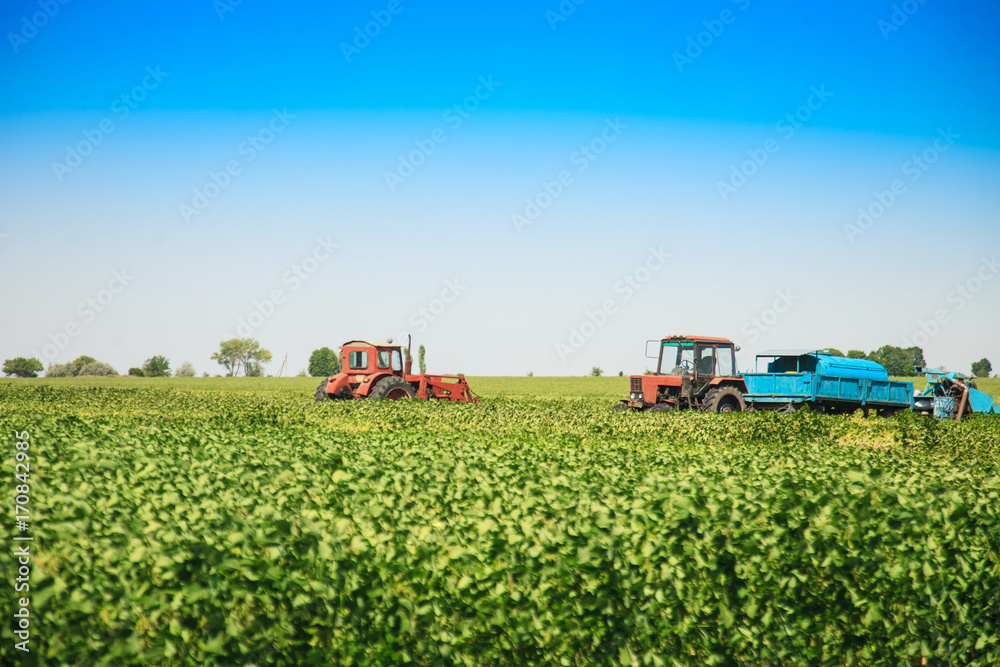 Agricultural machines in a soy field in a sunny summer day. Agricultural machines in a soy field in a sunny summer day.