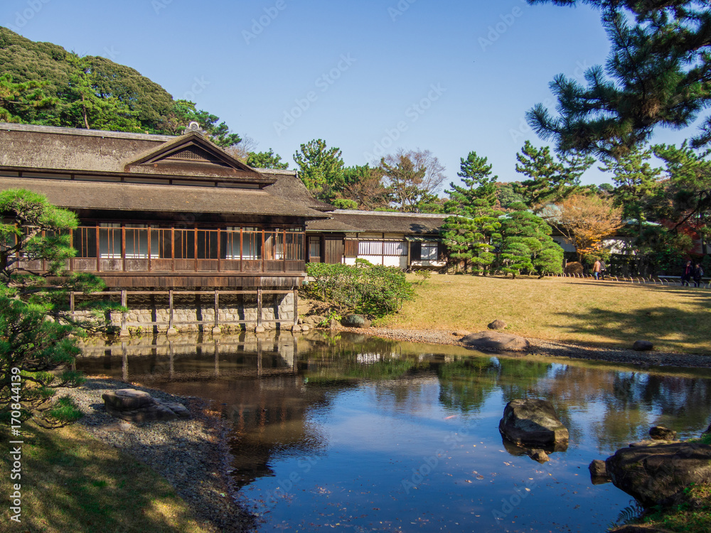 Autumn in Japan