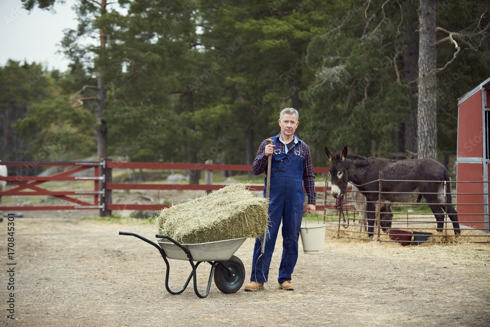 Portrait of farmer holding bucket and pitchfork while standing by wheelbarrow in farm Portrait of farmer holding bucket and pitchfork while standing by wheelbarrow in farm