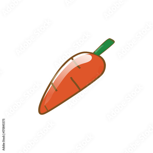 vector illustration of orange carrot vegetable