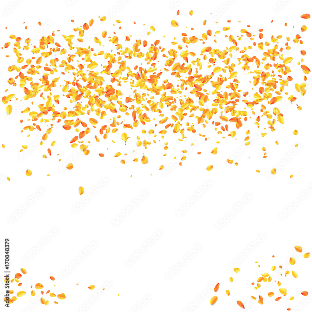 Autumn leaves particle isolited in white background