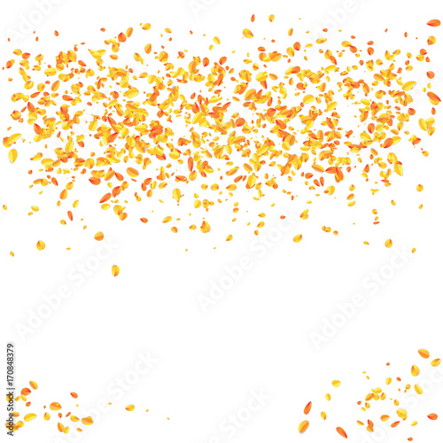 Obraz na płótnie Autumn leaves particle isolited in white background w salonie