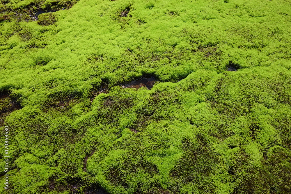 landmannalaugar trek, islande, iceland landmannalaugar trek, islande, iceland