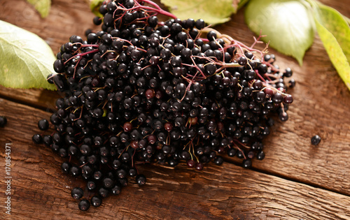 Fototapeta Naklejka Na Ścianę i Meble -  Elderberry fruits