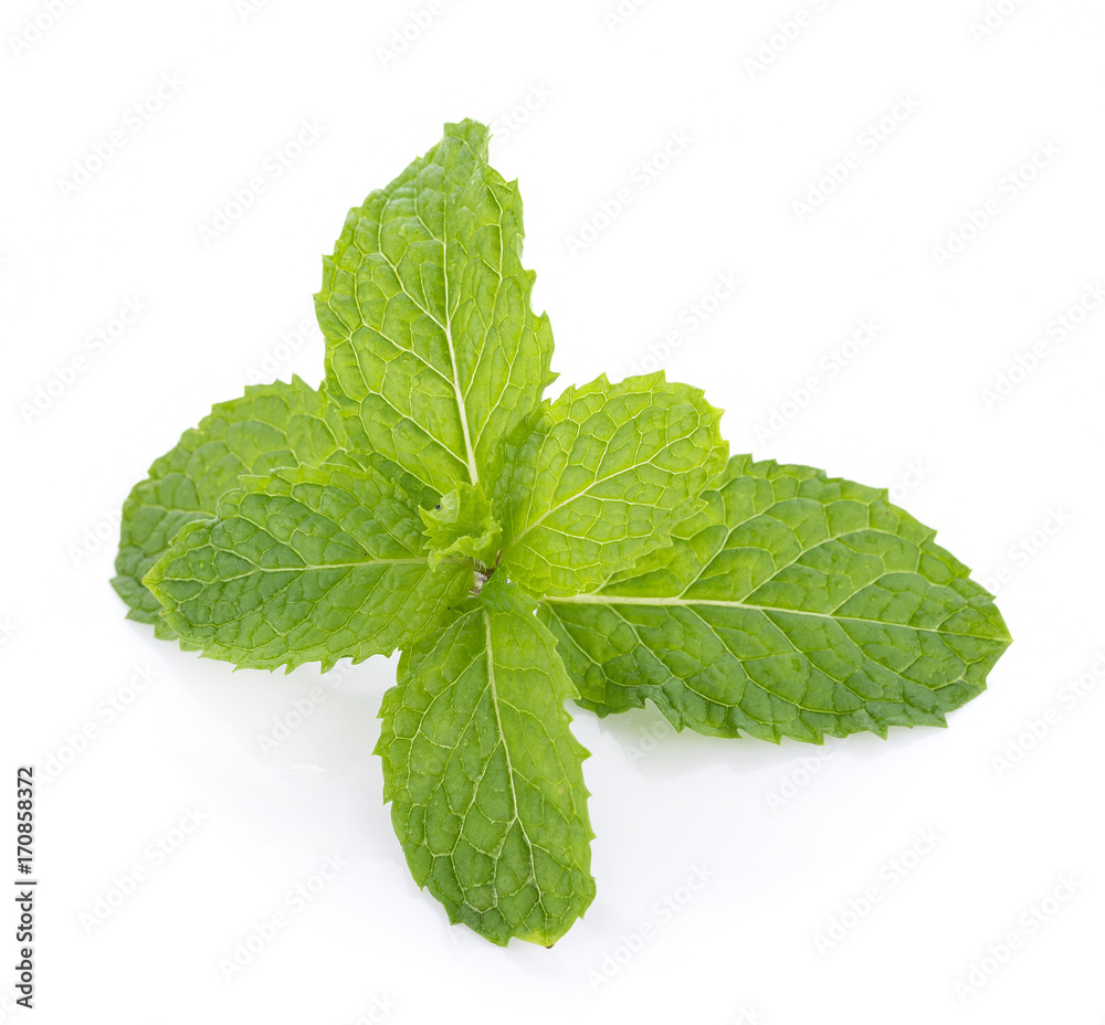 Mint leaves isolated on white background Mint leaves isolated on white background