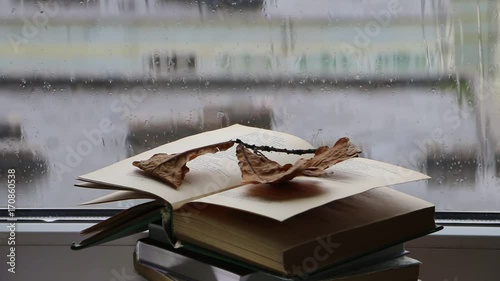reading books by the window on a rainy autumn day
