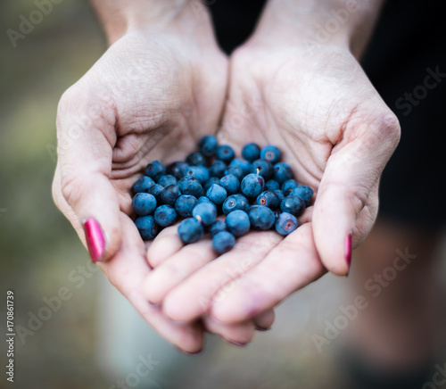 Fresh blueberries in hand