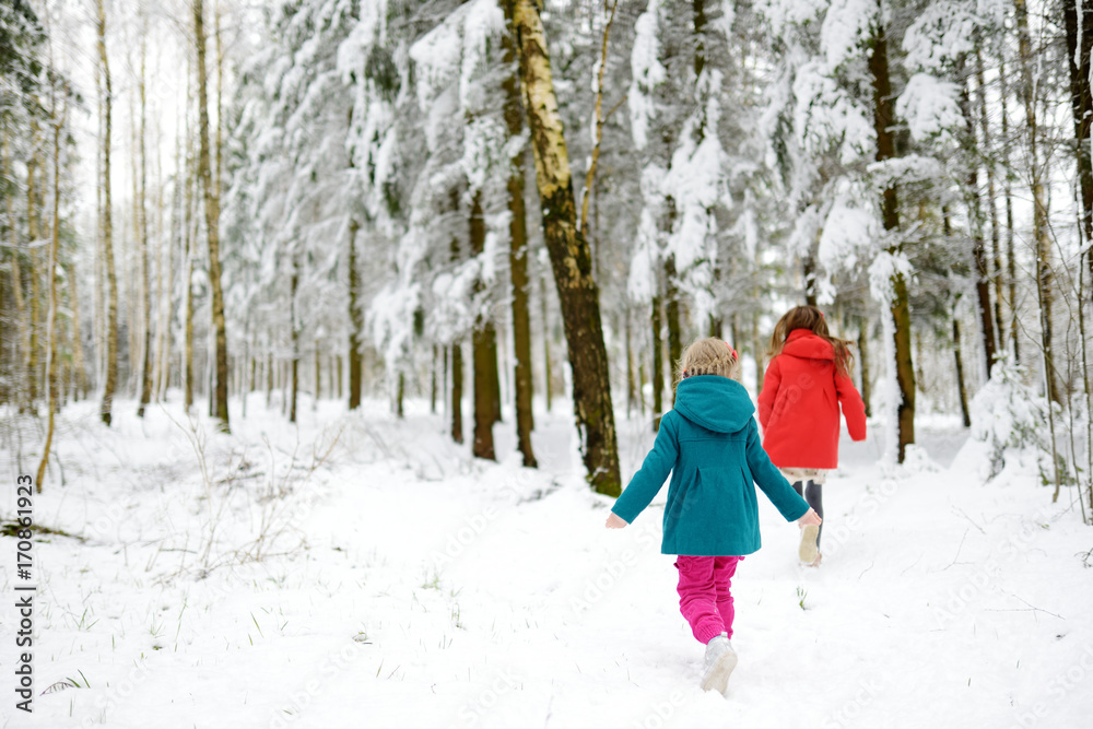 Fototapeta premium Two adorable little girls having fun together in beautiful winter park. Beautiful sisters playing in a snow.