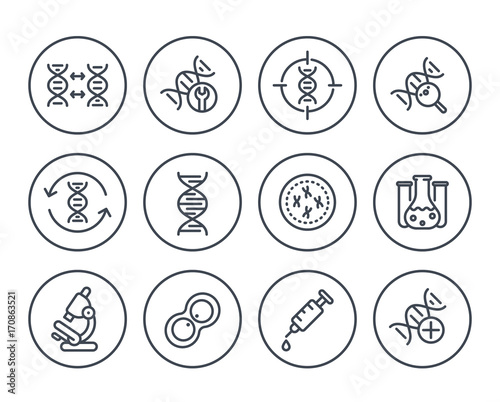 genetics line icons on white, dna chain, genetic research