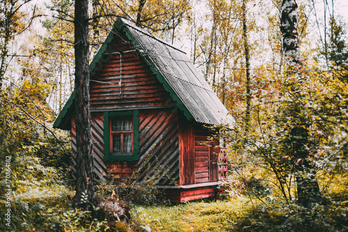 Small old reddish wooden house in tourist centre with birch trees, autumn grasses and plants of forest around, Altai mountains in Aya district, Russia
