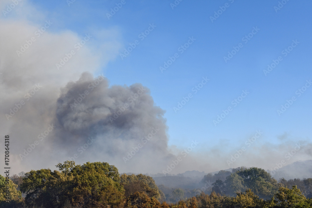 fire near the Galician town of Verin, Spain