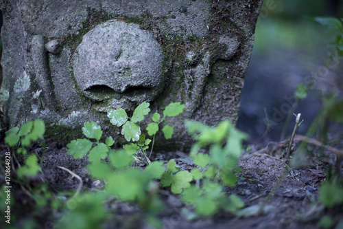 Skull on the cenotaph