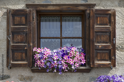 Flowers on windowsill of window with open shutters