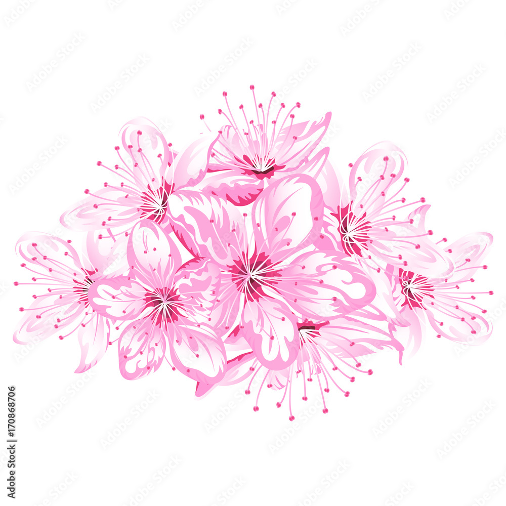 motif of blooming sakura motif of blooming sakura