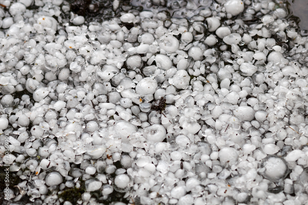 © ig_royal - hailstones on the ground after hailstorm, hail of great size, hail sized with a larger coin © ig_royal - hailstones on the ground after hailstorm, hail of great size, hail sized with a larger coin