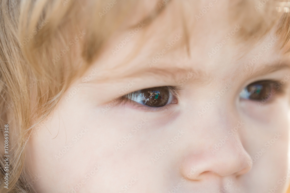 Boy with brown eyes and small, little nose on face Boy with brown eyes and small, little nose on face